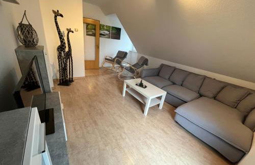 Sonnenschein - Foto 11