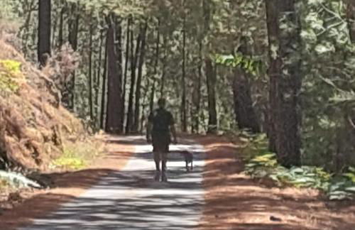 Puente Canto de Gredos - Photo 34