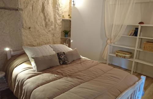 Les Gîtes des Châteaux, gîtes troglodytiques - Foto 69