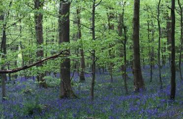 Number 6 Narrow Water Castle - Photo 2