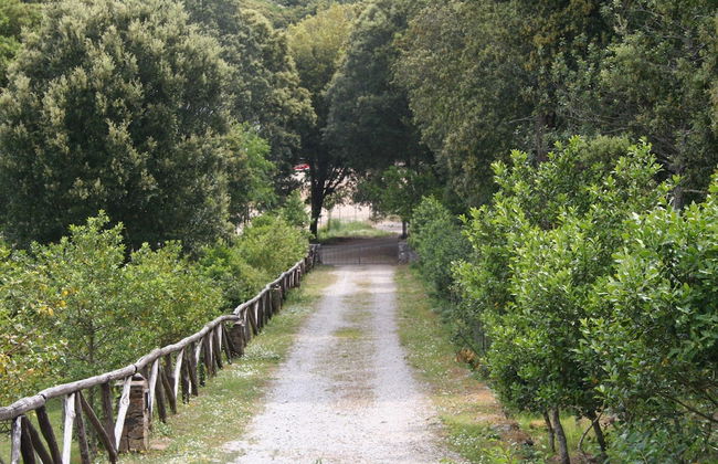 La Scala del Sale - Foto 20