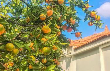 Lagada-Chios - Foto 30