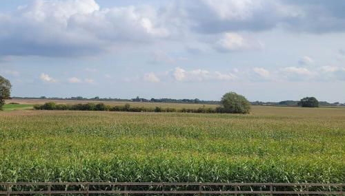 Jake’s Cottage - Langrick, Lincolnshire - Foto 5