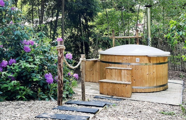 Holiday Home in Rheezerveen With Sauna - Foto 17