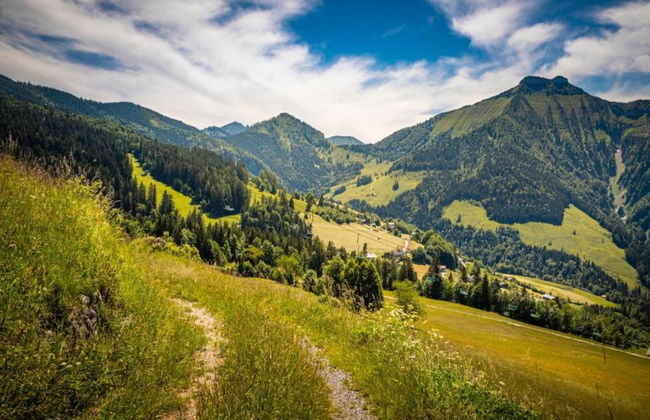 Apartment in Flachau Near Ski Lift - Foto 42