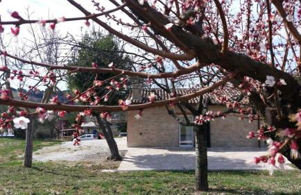 DOMUS FILMAR - Foto 14