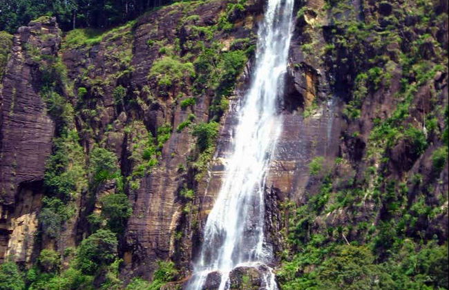 Senderismo hasta una plantación de té de Haputale - Foto 8