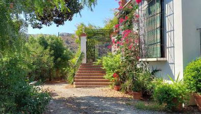 Finca Santa Matilde Málaga - Photo 5