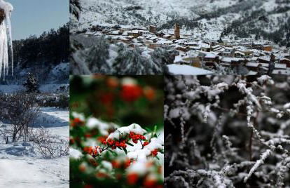 Cal Barceló - Foto 25