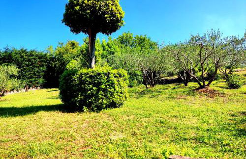 Apartman Pelcic,with WiFi and free parking - Foto 14