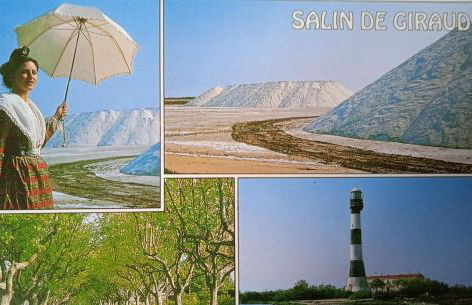 Les Oliviers de Camargue - Foto 18