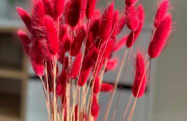 Sun Fun APT - Foto 12