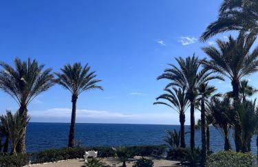 Private seafront Villa in Almería with sea access - Foto 8