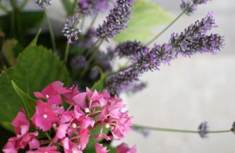 House Toni 1102 - Foto 49