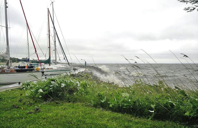 Holiday Home Haffschein, Monkebude - Foto 39