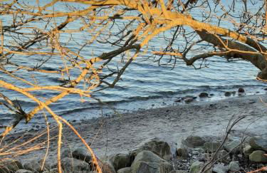 Schöne Ferienwohnung Im alten Gasthaus in Stoltebüll - Foto 32