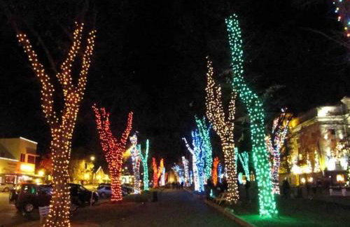 PRIVATE HOME Walk to Downtown CHERRY BLOSSOM COTTAGE Hot Tub SLEEPS UP TO 6 GUESTS - Foto 26