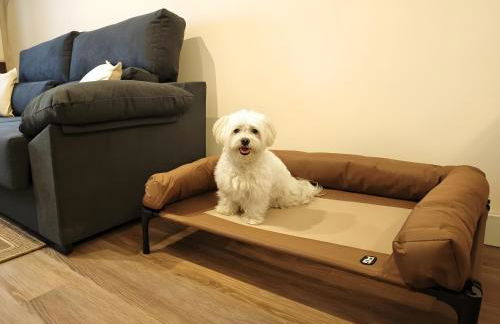 Apartamento Cumbre Loba - Foto 9