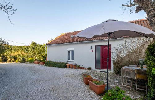 Quinta da Cerejeira - Foto 22