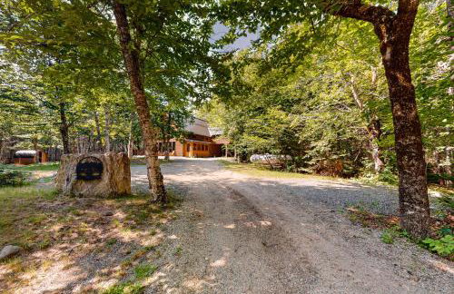 Lazy Lumberjack Hilltop Cabin - Photo 29