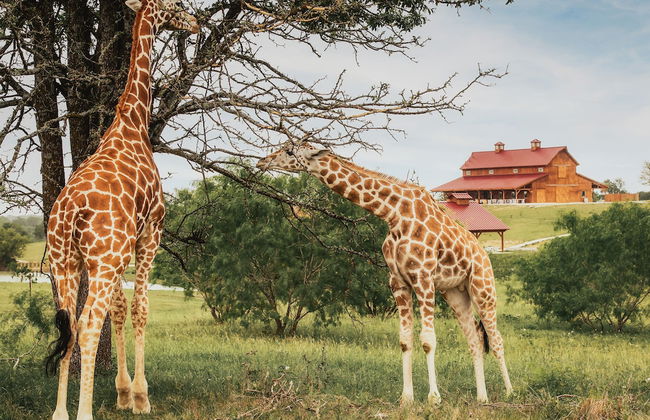 Blue Hills Ranch - Foto 1