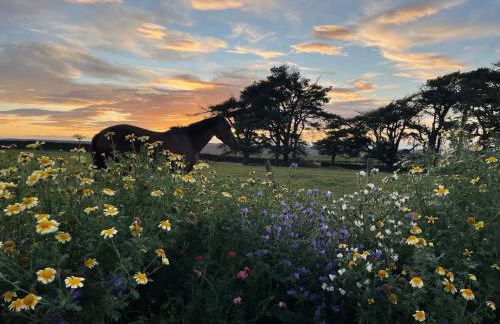 Two bedroom retreat - Foto 7