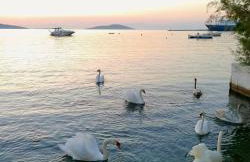 Marmari megali ammos oasis studio's - Photo 28