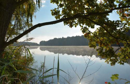 Modernes Ferienhaus nahe Spreewald-Idylle - Foto 36