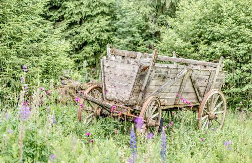 Luxurious Apartment in Jägersgrün with Saunas - Foto 79