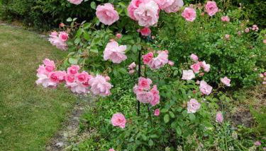 Luxus Wohnung auf Zeit - Foto 5