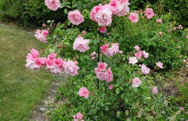 Luxus Wohnung auf Zeit - Foto 5