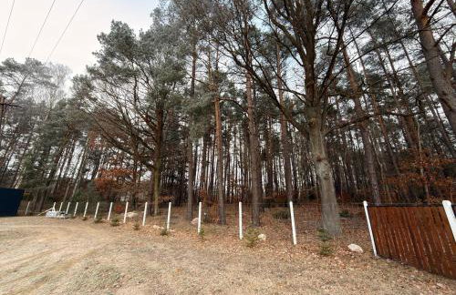 Przedświt - Foto 26