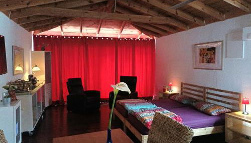 Finca Casa Madera 3 - Foto 3