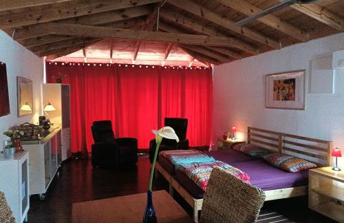 Finca Casa Madera 3 - Foto 3