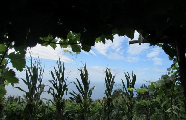 Agriturismo Mare e Monti - Foto 49