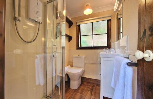 Y Caban at Wig Farm near Llangrannog - Foto 7