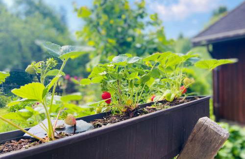 Ferienhof Alte Wildmeisterei - Fewo Gartenblick - Foto 24