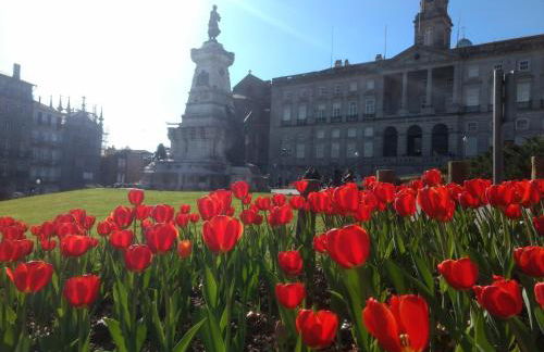 Merc Porto Ribeira's Up place - Foto 51