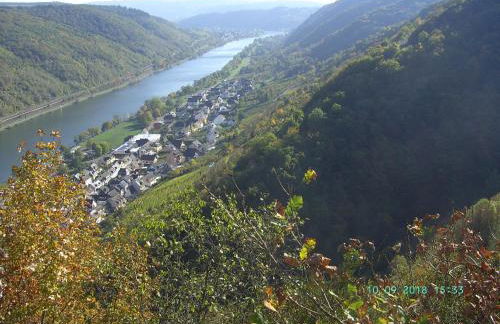 Moselblick - Foto 17