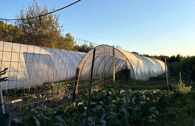 Agriturismo Prisma - Foto 24