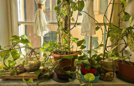 Dalla Spiaggetta a Quinto - Foto 45