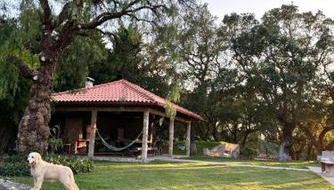 Casa de Férias - Foto 4