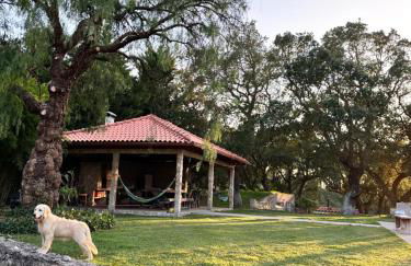 Casa de Férias - Photo 4