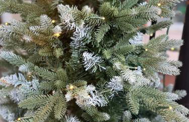 The Westlynne Apartments - Foto 7