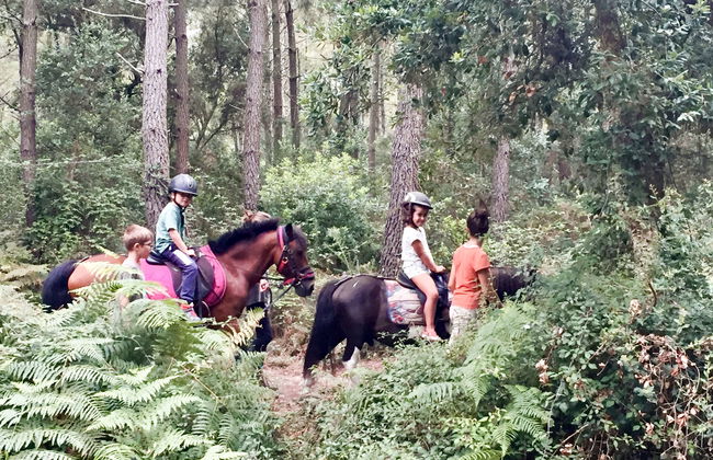 Blue Océan Cottage Pergola 4 - Foto 18
