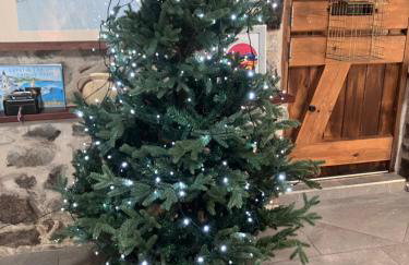 Anvil The Old Smithey - Foto 11