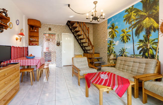 Mathias Rex - Foto 7