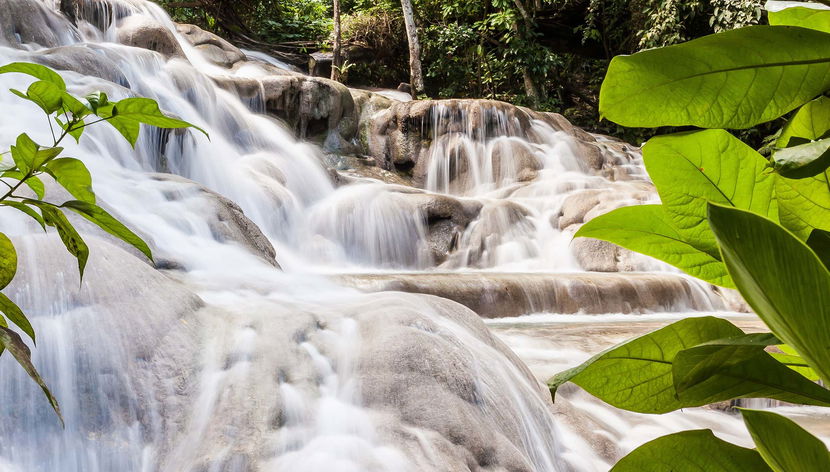 Excursion aux chutes de la Dunn + Ascension de la cascade