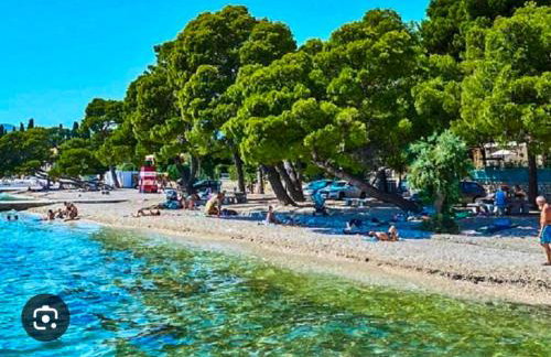 Žunić Apartman - Photo 13