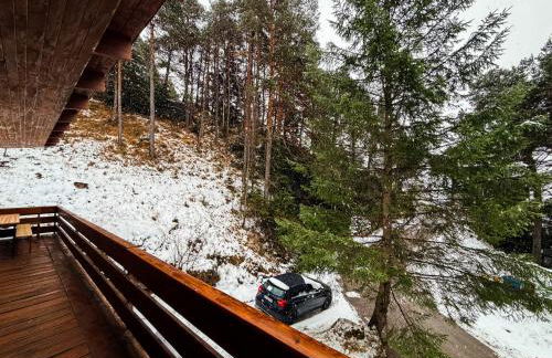 Chalet Auralpina 17min from Cortina - Photo 32